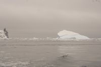 
DSC00181